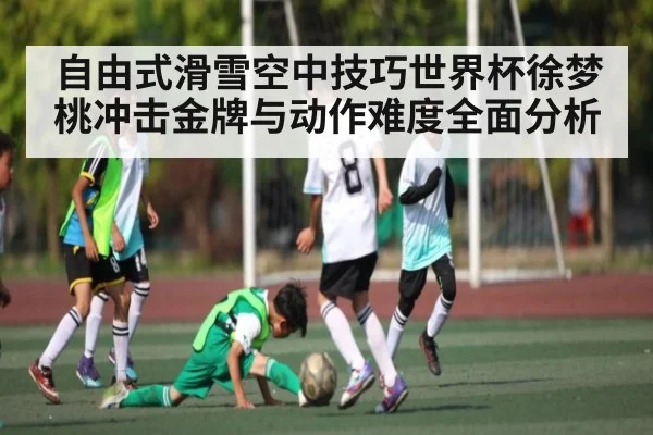 自由式滑雪空中技巧世界杯徐梦桃冲击金牌与动作难度全面分析