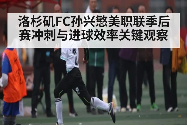 洛杉矶FC孙兴慜美职联季后赛冲刺与进球效率关键观察 - kaiyun